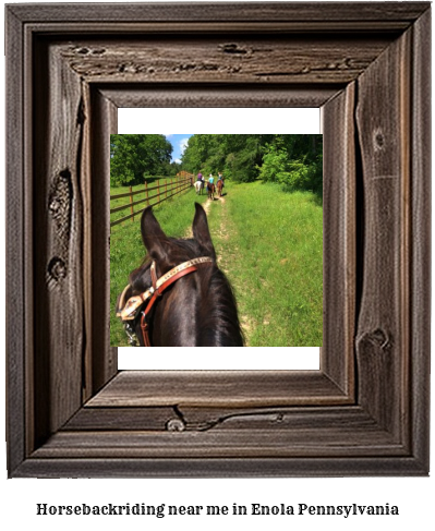 horseback riding near me in Enola, Pennsylvania